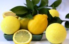 Отвар из цедры лимонов