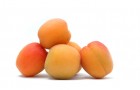 Сорт абрикоса: Саянский