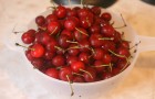 Сорт вишни обыкновенной: Аннушка