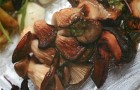 Картофельный салат с жареными грибами и рукколой