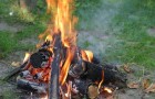 Нужно ли сжигать древесные остатки?