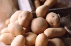 Как хранить картофель в квартире