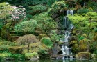 Пространство японского сада