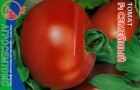Сорт томата: Семейный f1