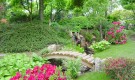 Уход за японским садом