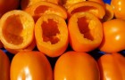 Сорт томата: Янтарный кубок