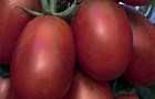 Сорт томата: Де барао черный