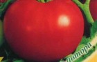 Сорт томата: Кострома f1