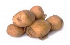 Сорт картофеля: Дарковичский