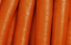 Сорт моркови: Карамелька