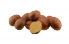 Сорт картофеля: Мустанг