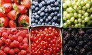 Определитель вредителей ягодных культур