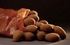 Сорт картофеля: Рамзай