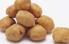 Сорт картофеля: Вега
