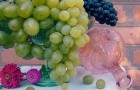 Сорт винограда: Ларни мускатная
