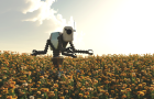 Скоро рабочих на полях заменят роботы