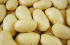 Маска картофельная (вариант 1)