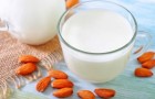 Растительное молоко – альтернативный источник пробиотиков