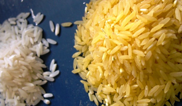 Золотой рис – или ещё одно научное надувательство