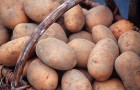 Кулинария для диабетика — картофель