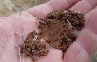 Почвы и их качество