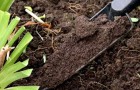 Подбор и подготовка почвы для выращивания комнатных растений