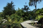 Ботанический сад Сан-Франциско