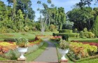 Королевские ботанические сады