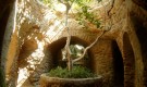 Подземные сады Форестье