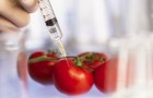 Натуральная альтернатива ГМО - замена микробиома у растений
