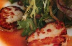 Сашими-салат с морскими гребешками