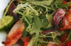Теплый салат с кальмарами гриль и овощами