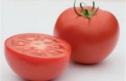 Сорт томата: Фея f1