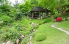 Формирование растений японского сада