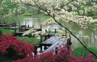Мосты для японского сада