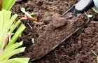 Почвы и субстраты (Видео)