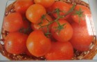 Сорт томата: Раздолье f1
