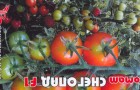 Сорт томата: Снегопад f1