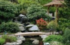 Создание ручья в японском саду