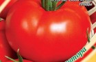 Сорт томата: Пелагея