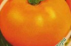 Сорт томата: Желтый шар