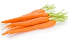 Сорт моркови: Бодринка