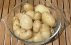 Сорт картофеля: Брук