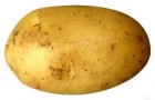 Сорт картофеля: Лина