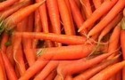 Сорт моркови: Невис f1