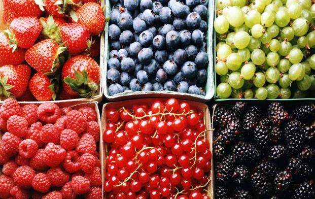 Определитель вредителей ягодных культур