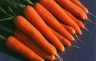 Сорт моркови: Розаль