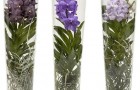 Стекляная ваза с орхидеями