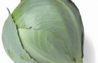 Сорт капусты белокочанной: Сторема f1