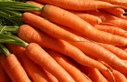 Сорт моркови: Тотем f1